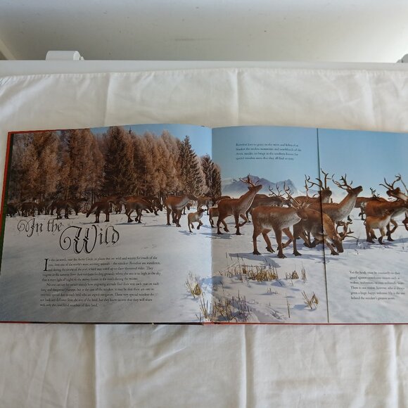 Santa's Reindeer Hardcover Christmas Book by Rod Green 2007 - Picture 8 of 16